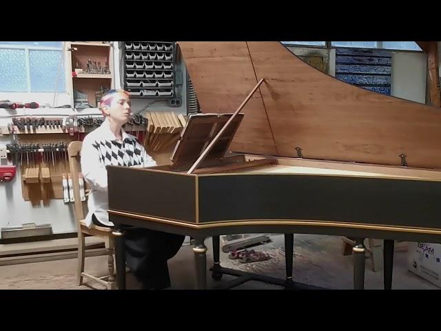 Elizaveta Miller: Telemann Fantasia in a minor on the new harpsichord after Mietke by Yves Beaupré.