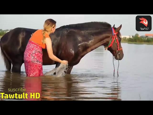  Fantastic! How to wash Horse in Small park - Beautiful Village Girl Cleaning Horse And Care 