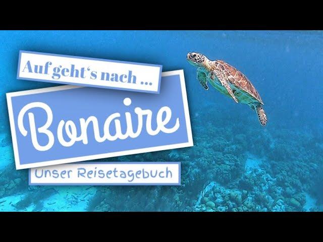 Bonaire: Unser Urlaub auf der Trauminsel in der Karibik (und unsere Corona-Lockdown-Flucht)