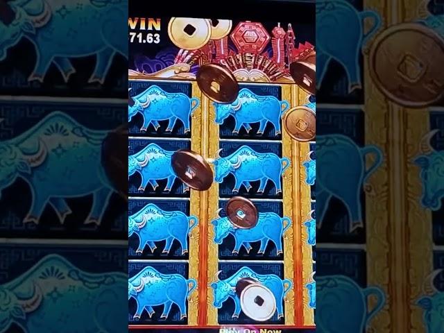 One Off Full Screen Gold Stacks! #casino #slots #jackpot #gambling #vegas