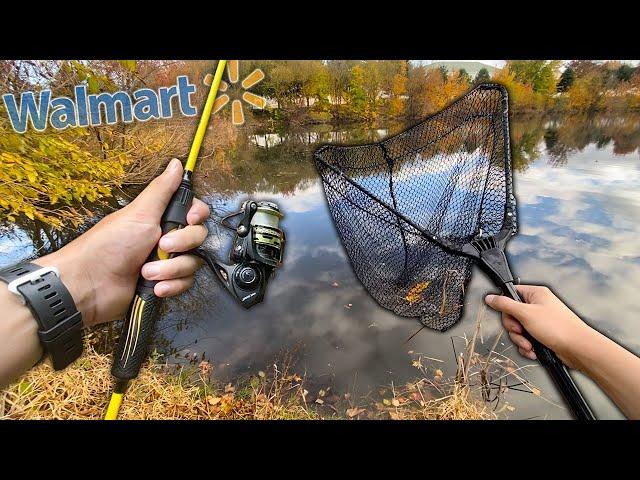 CHEAP AND EASY Carp Fishing! - How to Catch CARP
