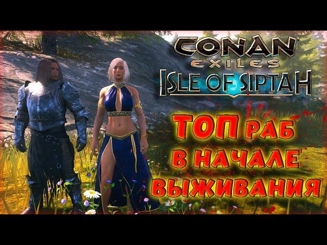 Conan Exiles - ТОП РАБ В НАЧАЛЕ ВЫЖИВАНИЯ (SIPTAH) С ПОСЛЕДНИМИ ОБНОВЛЕНИЯМИ В Age of War Chapter IV