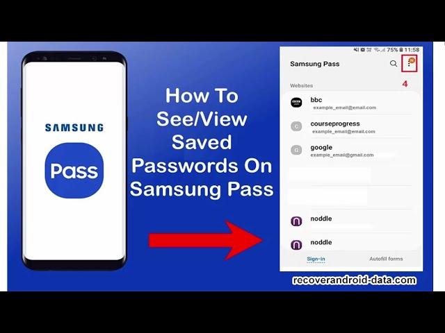 How To See Saved Passwords On Samsung Pass