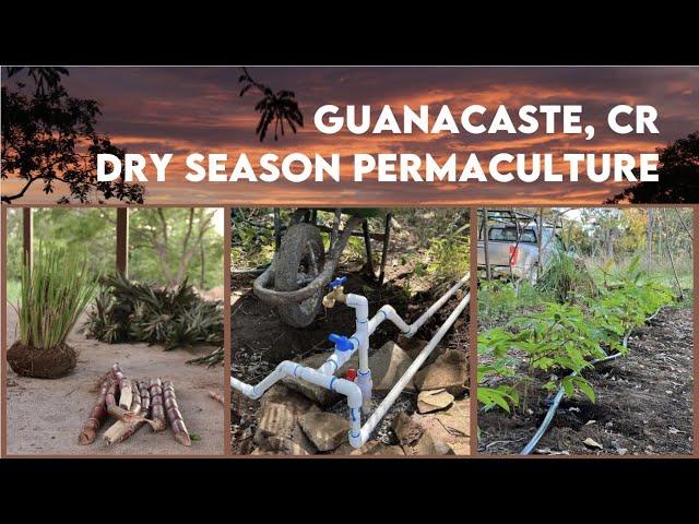 Year 2 Dry Season Prep - Off-Grid Permaculture Farm in Guanacaste, Costa Rica