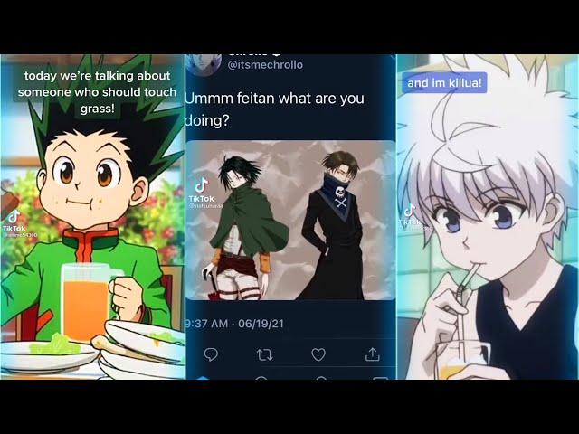 Hunter x Hunter TikTok Compilation That Made Gon Happy