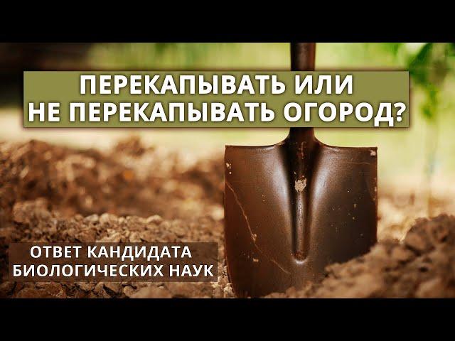 Нужно ли перекапывать почву в огороде?