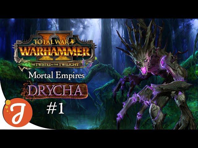 Briarmaven Of Woe | Drycha #01 | Total War: WARHAMMER II - Twisted & The Twilight