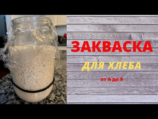 Выведение ржаной закваски - День Второй (Утро)