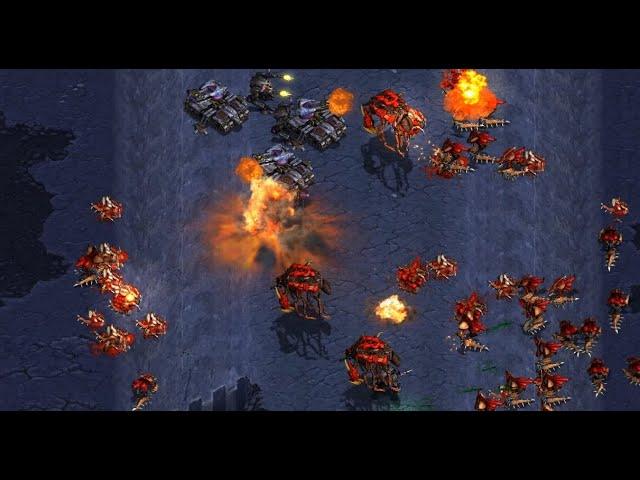 BEST OF 3! FLASH!  (T) vs LARVA!  (Z) - StarCraft - Brood War REMASTERED