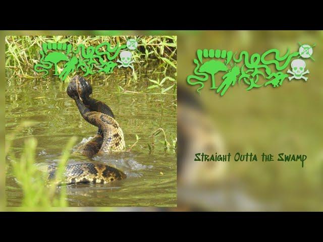 Atractaspididae - Straight Outta the Swamp [Full Album] (Harsh Gorenoise)