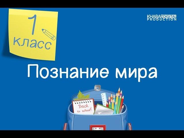 Познание мира. 1 класс. Что такое погода /15.01.2021/