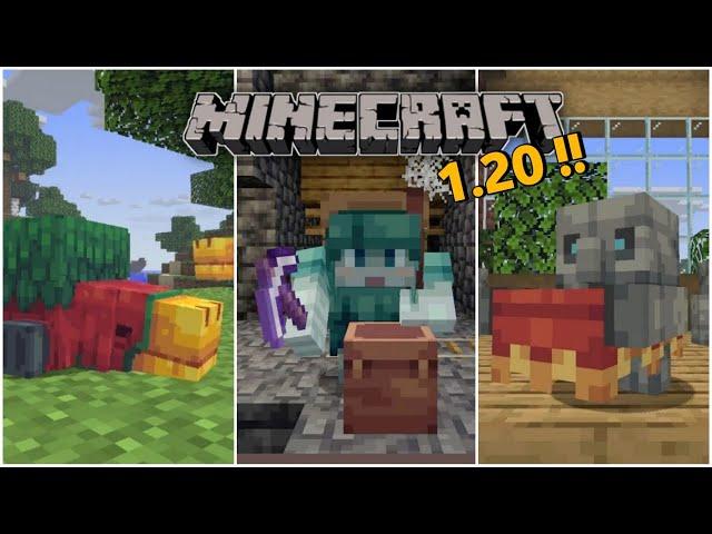 Minecraft Phiên Bản 1.20 Sẽ Có Những Gì??