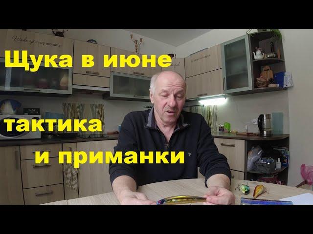 Щука в июне на спиннинг