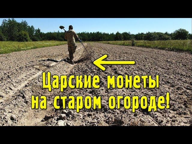 КОПАЛ как ТРАКТОР! Царские монеты на старом огороде!