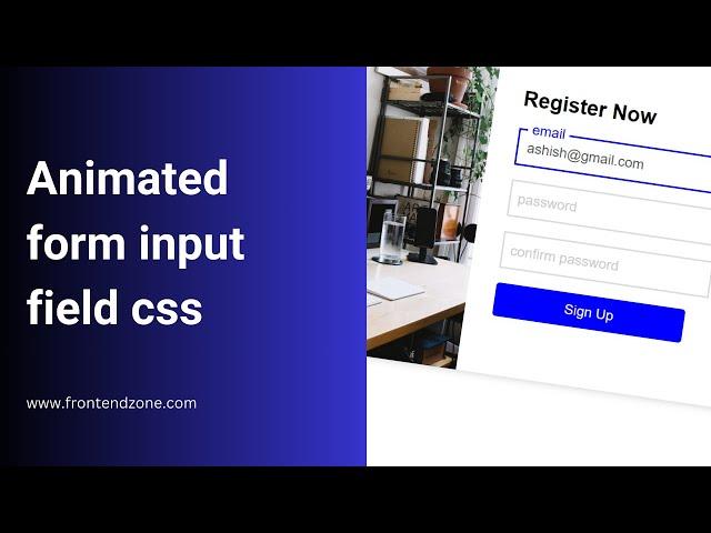 animated input css