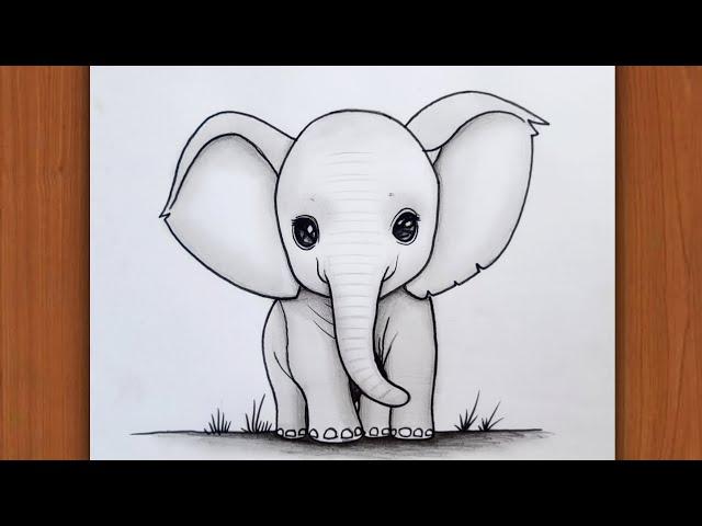 Pencil drawing  Elephant for beginners | Easy pencil drawing |  Art  | Animal Drawing