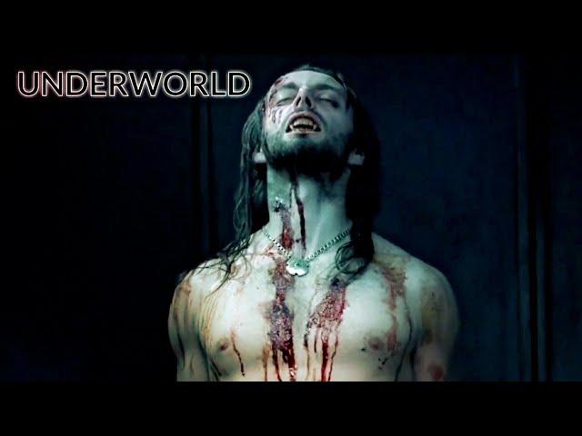 UNDERWORLD (2003) SELENE, MICHAEL, LUCIAN (FULL HD)