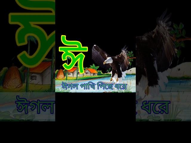 #স্বরবর্ণ ও ব্যাঞ্জনবর্ন#বর্ণমালা | অ আ ই ঈ ক খ গ #shorts #alphabets#kidssongs#viralshorts#shortfeed