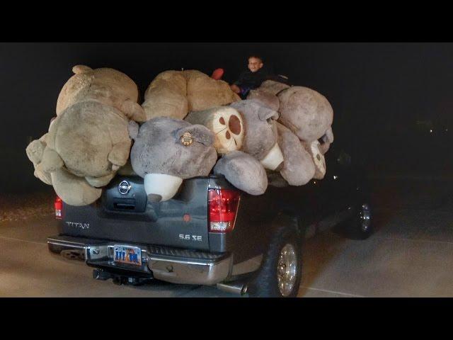 Filled our house with World's Largest Teddy Bears!