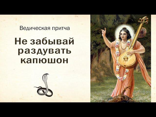 Не забывай раздувать капюшон. История о Нараде Муни и кобре. Веды, философия, притчи, рассказы