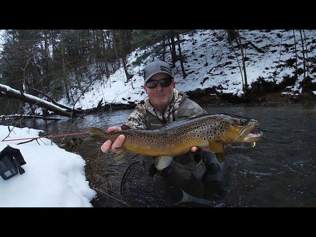 Spin Fishing for Big Brown Trout in January (2021) #trout #fishing #spinner