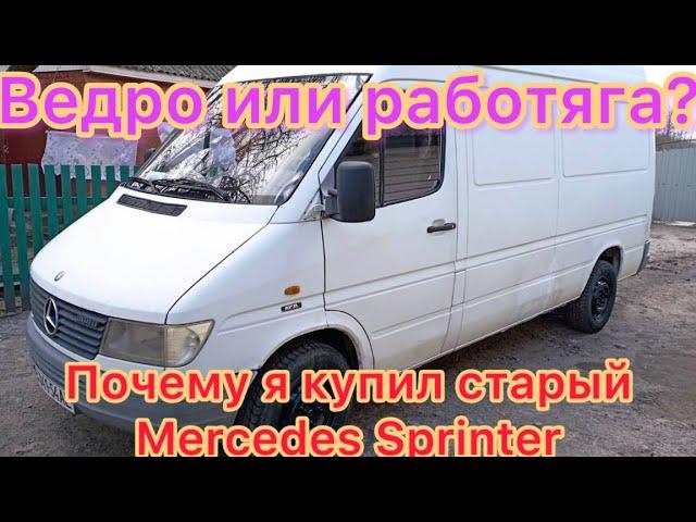 Страху нет места: почему я выбрал старый Mercedes Sprinter в 2024 году