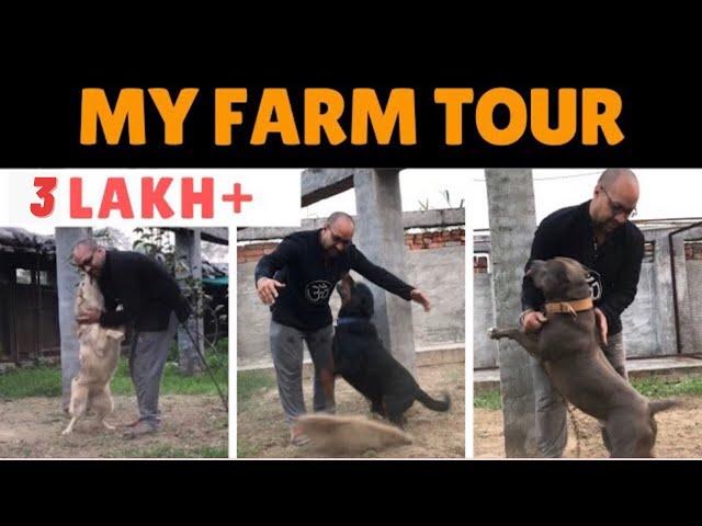 Our dog Farm Tour || Diwali Safety Tips For Dogs || Puppy’s || Cats || Pets || BHOLASHOLA
