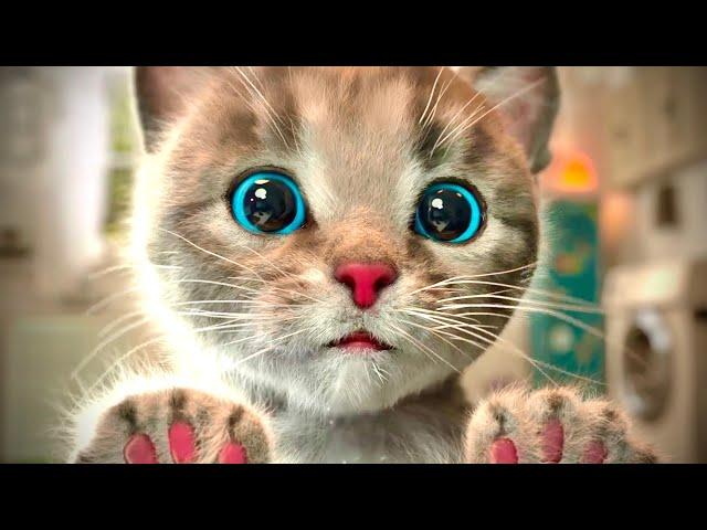 Animated Little Kitten friends Adventure - Preschool and kindergarten learning Cartoon