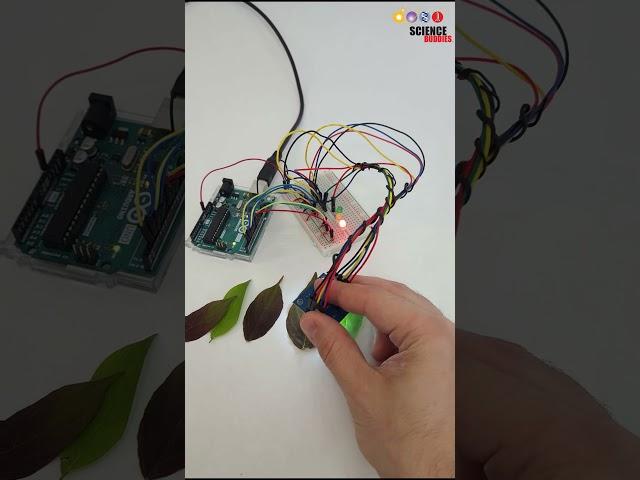 detecting leaf color | science project