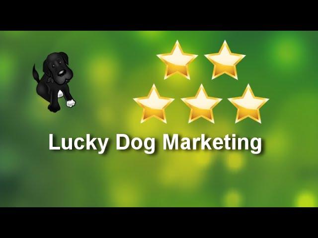 Lucky Dog Marketing Arlington Excellent 5 Star Review by Cindy Fox