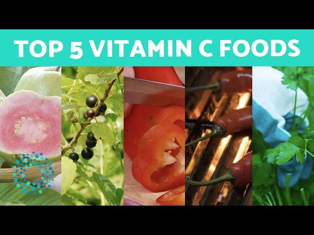 Top 5 Vitamin C-Rich Foods  The Immune-Boosting Foods You Need to Know