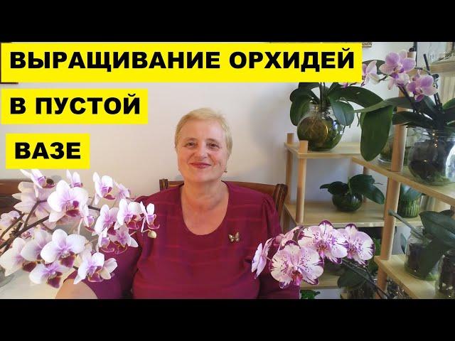 ВЫРАЩИВАНИЕ,  ПОЛИВ и УДОБРЕНИЕ  ОРХИДЕЙ в ПУСТОЙ ВАЗЕ...ПРОЩЕ НЕ МОЖЕТ БЫТЬ