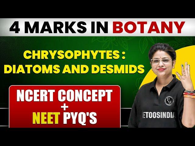 CHRYSOPHYTES Class 11 | Most Important Topic for NEET | 4 Marks पक्के | ETOOS INDIA