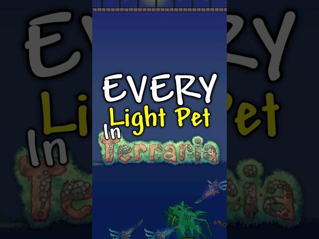 How to get EVERY Light pet in Terraria