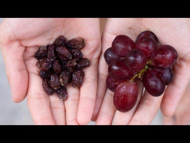 How to make Raisins from grapes - Larger, Plumper, Juicier!