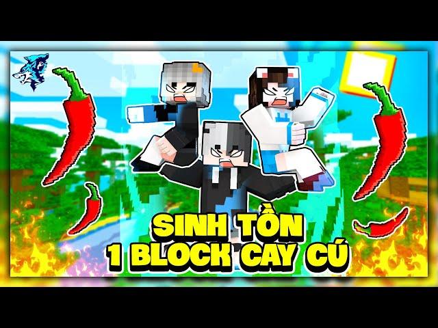 Minecraft nhưng Thế Giới Bị Giới Hạn? Siro Sinh Tồn 1 Block Siêu Cay Cú cùng Mèo Simmy và Sammy Đào