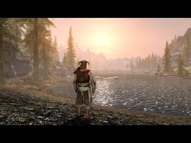 POV: It's 2011, and you're exploring Skyrim for the first time