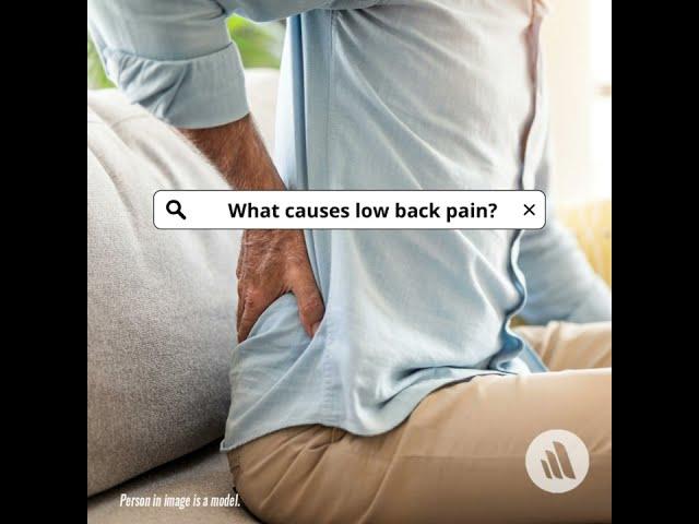 Low Back Pain: 7 Common Causes | Merck Manuals Consumer Version