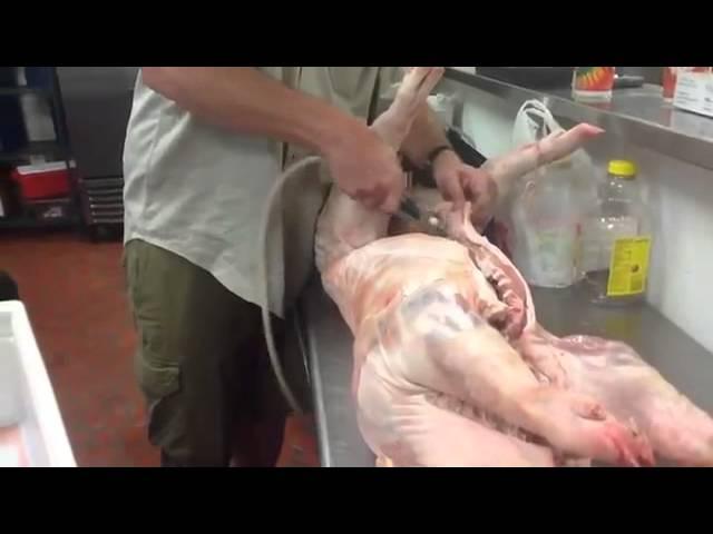 Central BBQ has whole pigs for your next function