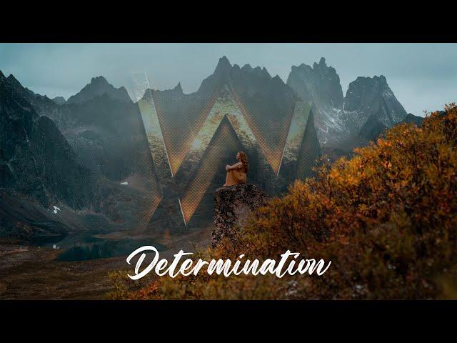 Alan Walker - Determination (New Music 2024) | Aura Walker