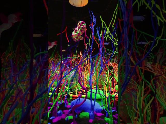 Portal Hopping Tour | Immersive Art Grapevine, Texas | Meow Wolf