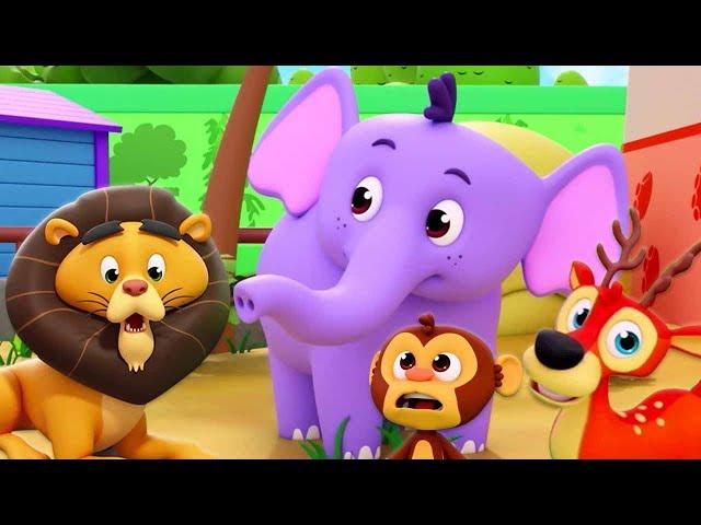 lagu kebun binatang | belajar hewan dalam bahasa | Zoo Song | Indonesian Animal Song | Kids Songs