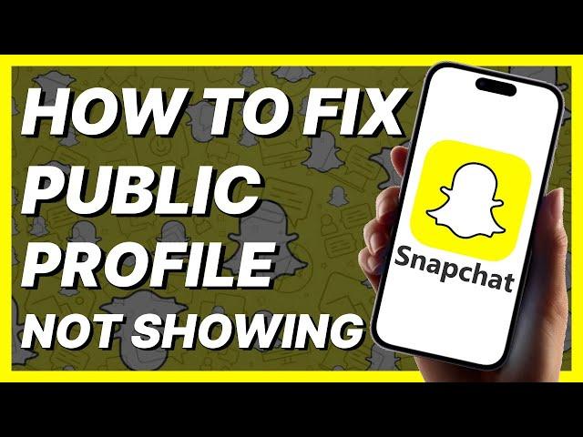 Fix Snapchat Public Profile Not Showing (2024)