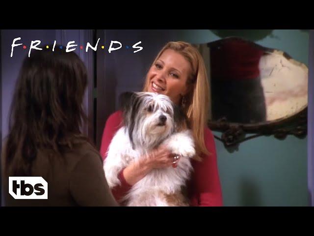 Chandler Doesn’t Like Dogs (Clip) | Friends | TBS