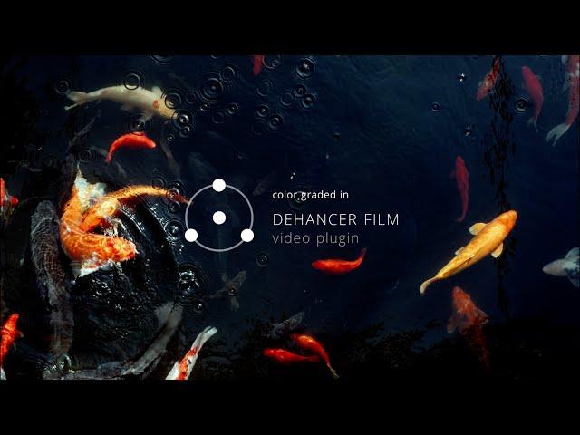 Dehancer Film OFX video plugin for Davinci Resolve