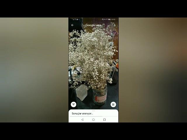 Google lens ile gördüğünüz çiçeklerin ismini öğrenin