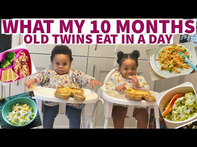 WHAT MY 10 MONTH OLD TWINS EAT IN A DAY TO STAY HEALTHY | WEIGHT GAINING FOOD IDEAS FOR BABIES