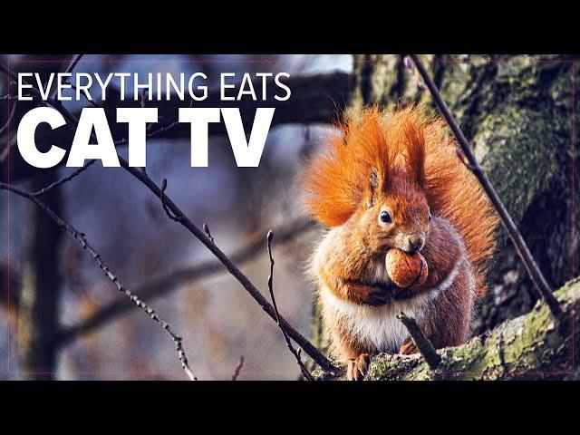 Fryhorn Everything Eats Episode 1 - Animals Eating