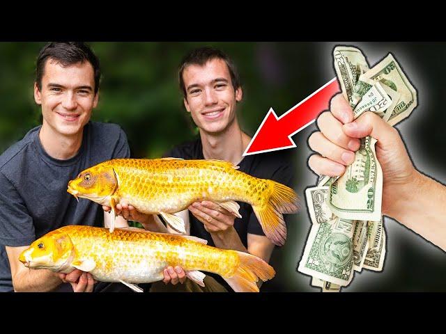 How To Catch More Carp and SPEND LESS MONEY! Carp Fishing On A Budget