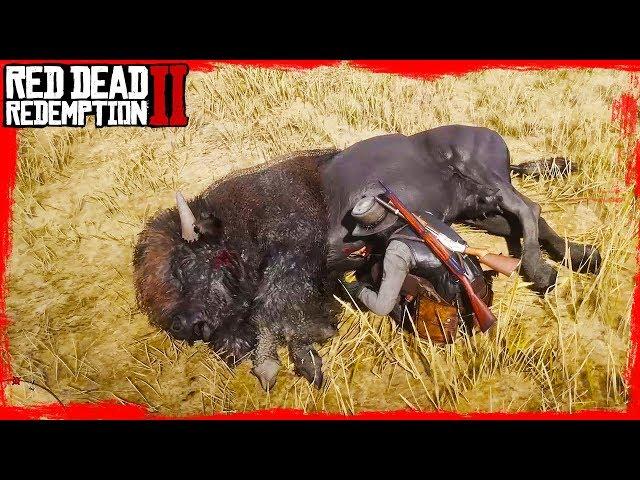 RDR2 Hunting Bison / Hunting and skinning with John Marston Gameplay